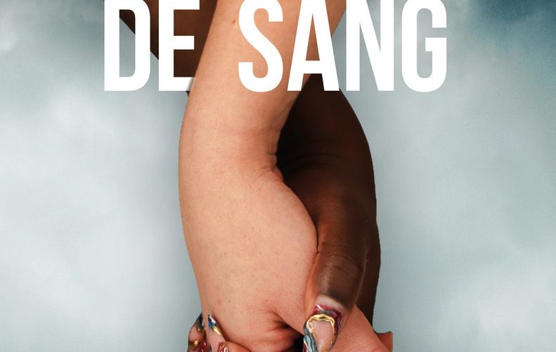 "Soeurs de sang" de Franck Linol, parution 2026, une enquête de l'inspecteur Dumontel